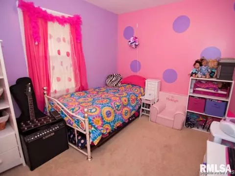 301 E Stanford Ave, Springfield, IL 62703 photo 11