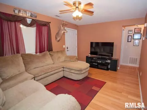 301 E Stanford Ave, Springfield, IL 62703 photo 2