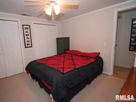 301 E Stanford Ave, Springfield, IL 62703 photo 8