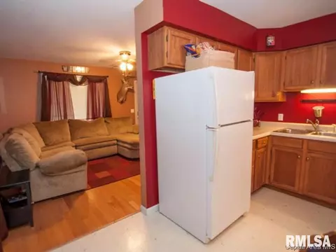 301 E Stanford Ave, Springfield, IL 62703 photo 4