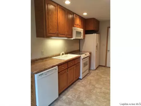 3349 Rawlings Dr, Springfield, IL 62704 photo 4