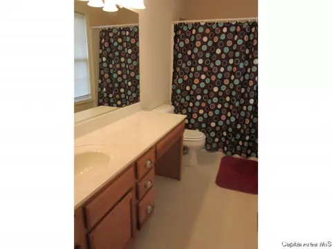 1525 Hosta St, Springfield, IL 62712 photo 19
