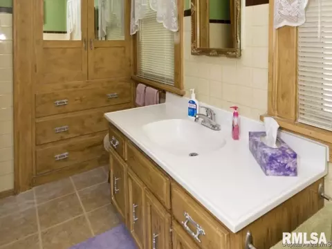 643 W Vine, Springfield, IL 62704 photo 19