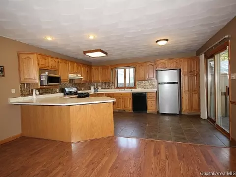 2504 Delaware Dr, Springfield, IL 62702 photo 10