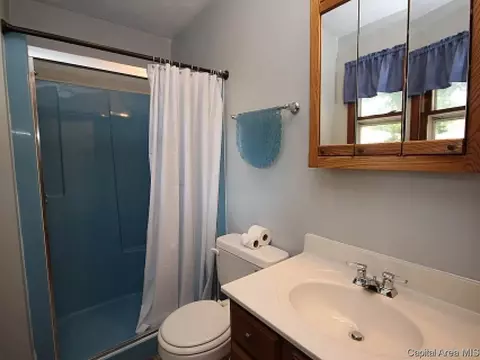 2504 Delaware Dr, Springfield, IL 62702 photo 19