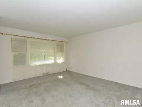 3009 S Park, Springfield, IL 62704 photo 7