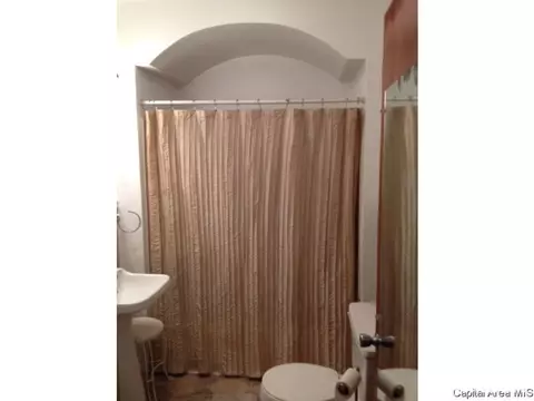 2448 S 13th Street St, Springfield, IL 62703 photo 11