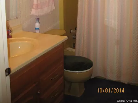 13 Coachlight Ct, Springfield, IL 62703 photo 16