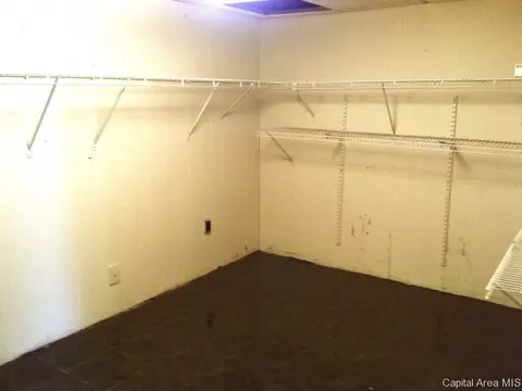 57 Horseshoe, Springfield, IL 62702 photo 30