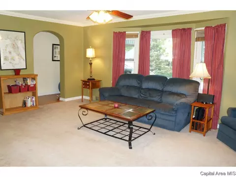 600 S Feldkamp Ave, Springfield, IL 62704 photo 7