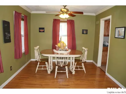 600 S Feldkamp Ave, Springfield, IL 62704 photo 4