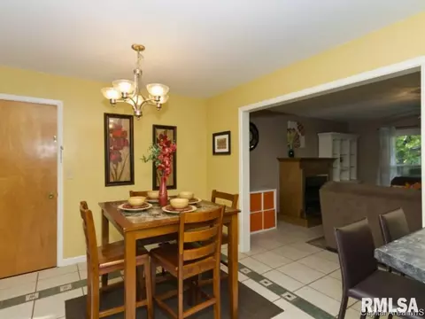217 Cartwright Dr, Springfield, IL 62704 photo 9
