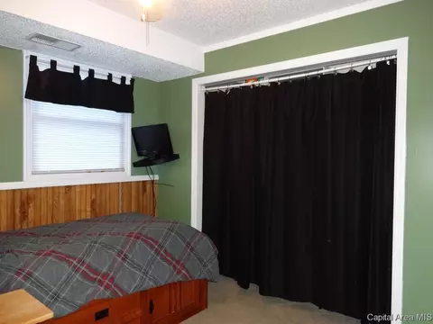 44 Emporia Ave, Springfield, IL 62702 photo 22