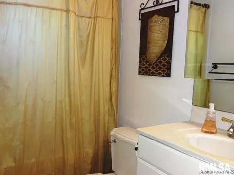 44 Emporia Ave, Springfield, IL 62702 photo 17