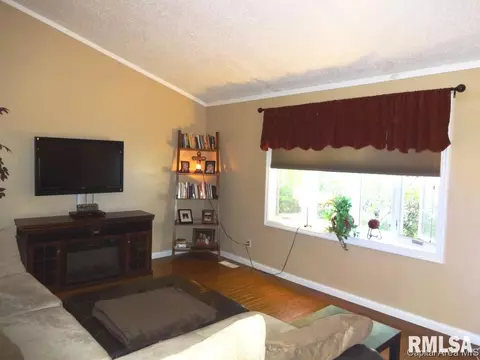 44 Emporia Ave, Springfield, IL 62702 photo 4