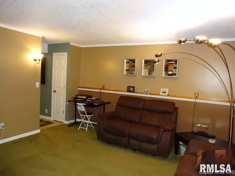 44 Emporia Ave, Springfield, IL 62702 photo 19