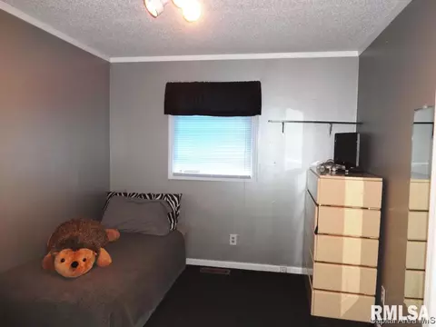 44 Emporia Ave, Springfield, IL 62702 photo 16