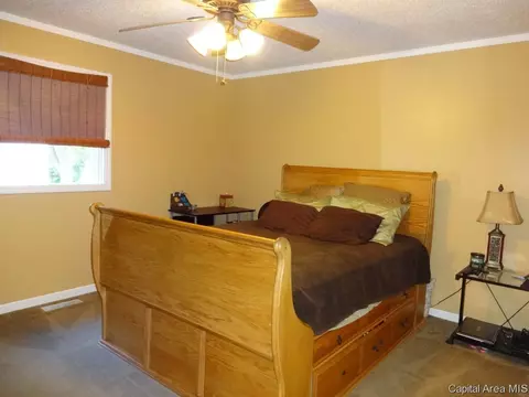 44 Emporia Ave, Springfield, IL 62702 photo 14