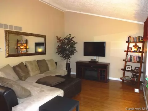 44 Emporia Ave, Springfield, IL 62702 photo 5