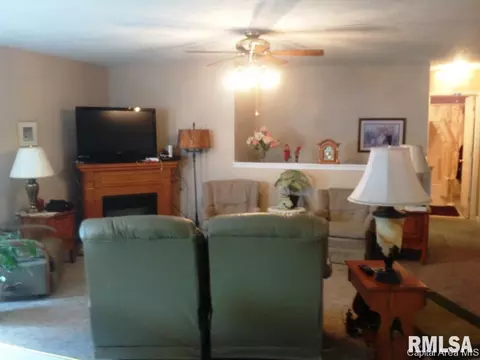4004 Grimik Dr, Springfield, IL 62707 photo 18