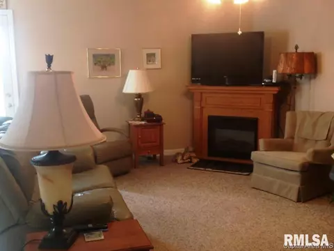 4004 Grimik Dr, Springfield, IL 62707 photo 4