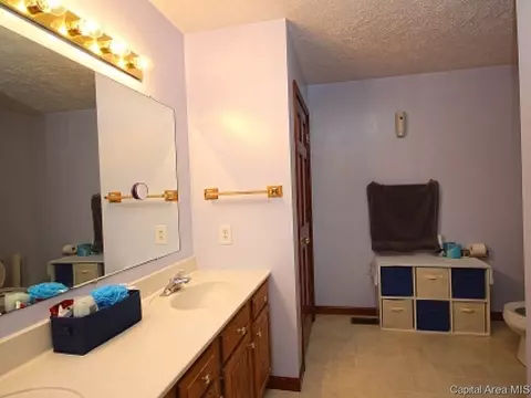 14548 Frontier Dr, Athens, IL 62613 photo 17