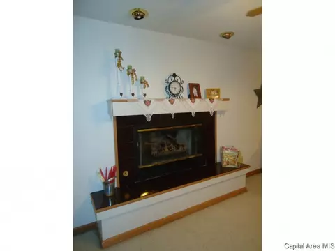 54 Holliday, Springfield, IL 62702 photo 6