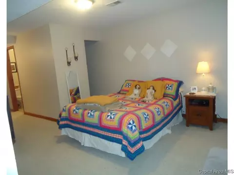 54 Holliday, Springfield, IL 62702 photo 15