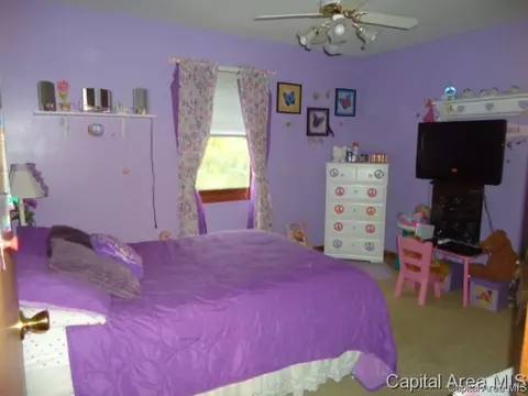 54 Holliday, Springfield, IL 62702 photo 28
