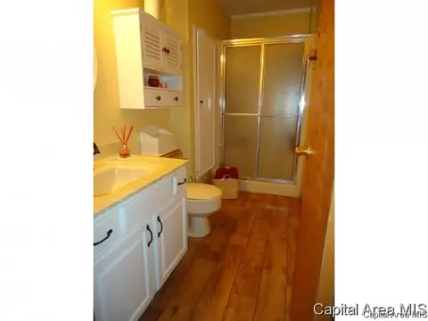 54 Holliday, Springfield, IL 62702 photo 29
