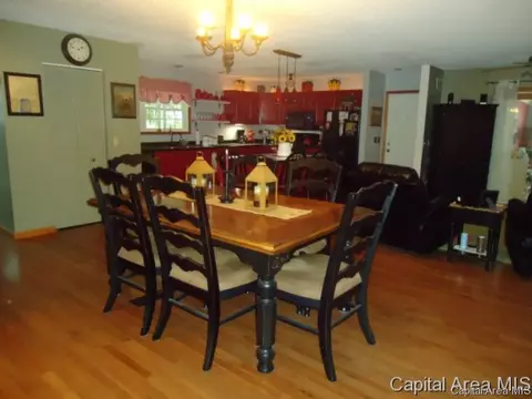 54 Holliday, Springfield, IL 62702 photo 30