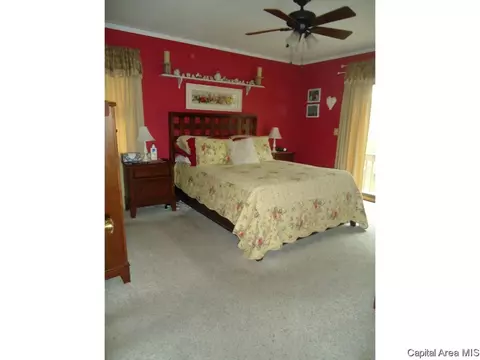 54 Holliday, Springfield, IL 62702 photo 7