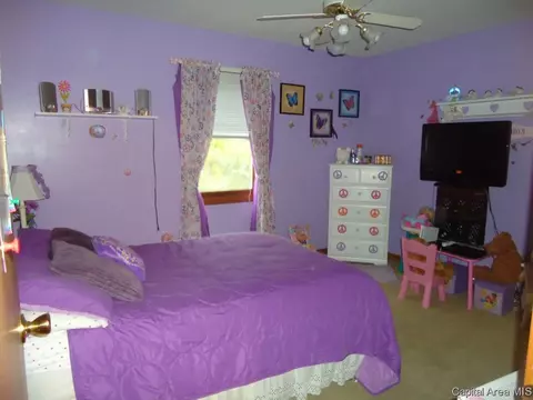54 Holliday, Springfield, IL 62702 photo 13