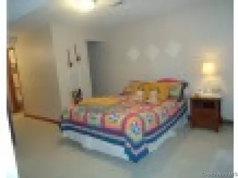 54 Holliday, Springfield, IL 62702 photo 21