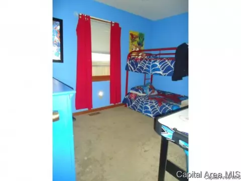 54 Holliday, Springfield, IL 62702 photo 27