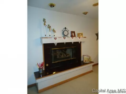 54 Holliday, Springfield, IL 62702 photo 20