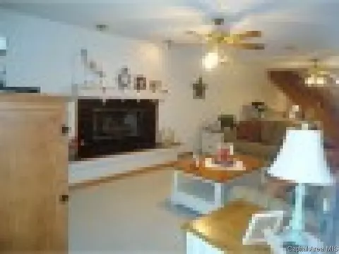 54 Holliday, Springfield, IL 62702 photo 26
