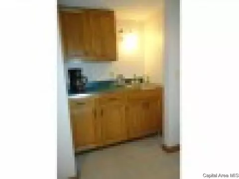 54 Holliday, Springfield, IL 62702 photo 16