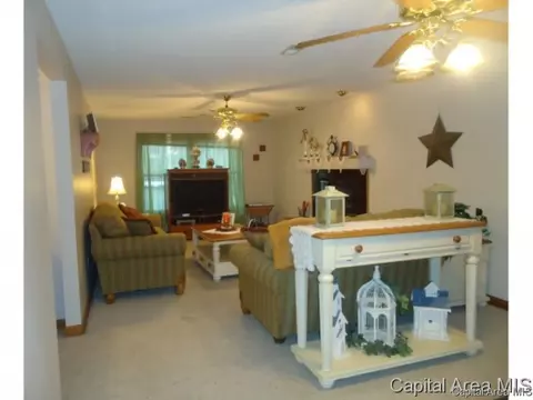 54 Holliday, Springfield, IL 62702 photo 19