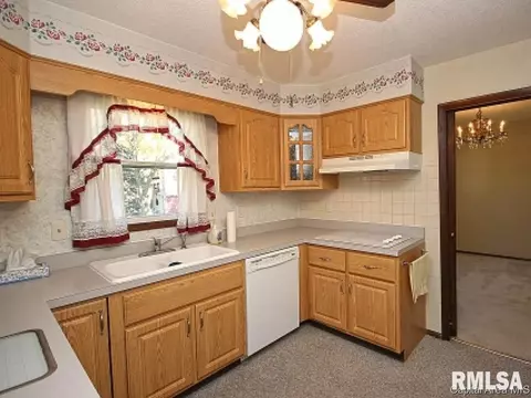 2321 E Sangamon Ave, Springfield, IL 62702 photo 8