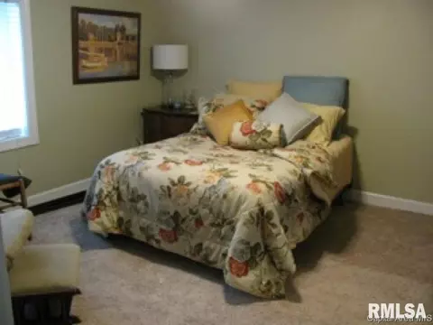 525 S Park Ave, Springfield, IL 62704 photo 9