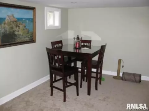 525 S Park Ave, Springfield, IL 62704 photo 14