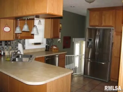 525 S Park Ave, Springfield, IL 62704 photo 7