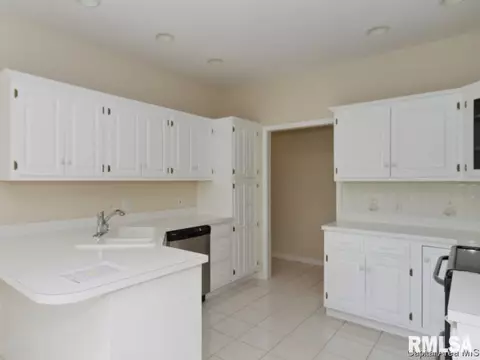 3816 Ryebrook Ct, Springfield, IL 62704 photo 13