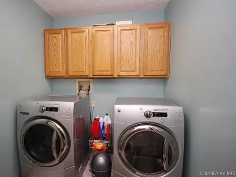 706 E Chestnut, Chatham, IL 62629 photo 9