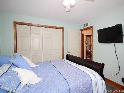 706 E Chestnut, Chatham, IL 62629 photo 16