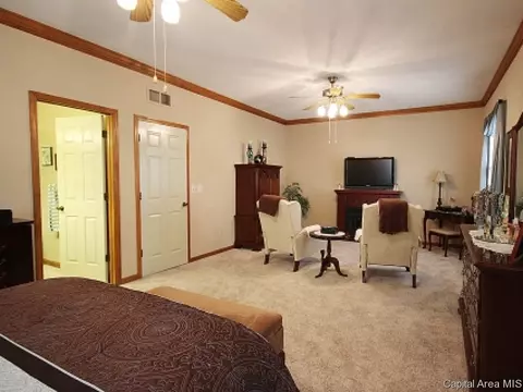 706 E Chestnut, Chatham, IL 62629 photo 11