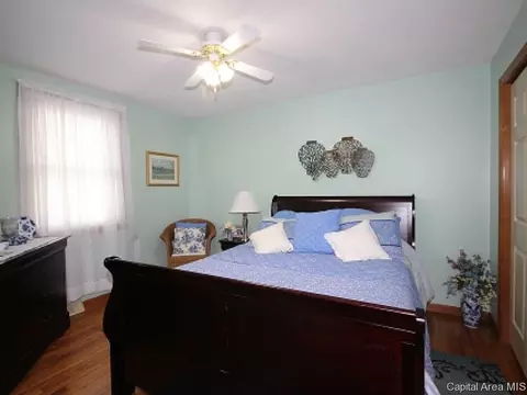 706 E Chestnut, Chatham, IL 62629 photo 15