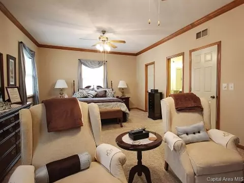 706 E Chestnut, Chatham, IL 62629 photo 13