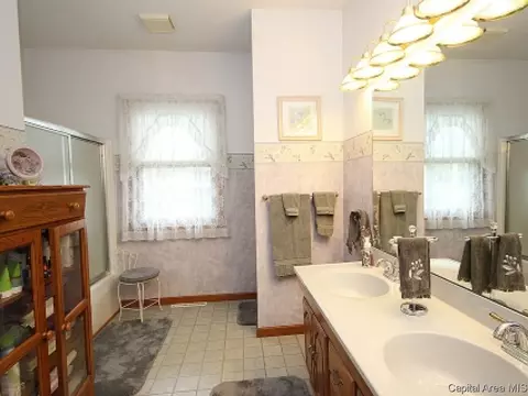 706 E Chestnut, Chatham, IL 62629 photo 20